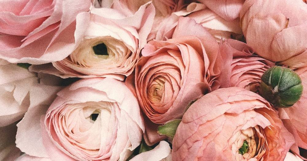 Digital Marketing untuk Florist dan Bisnis Kreatif Jogja
