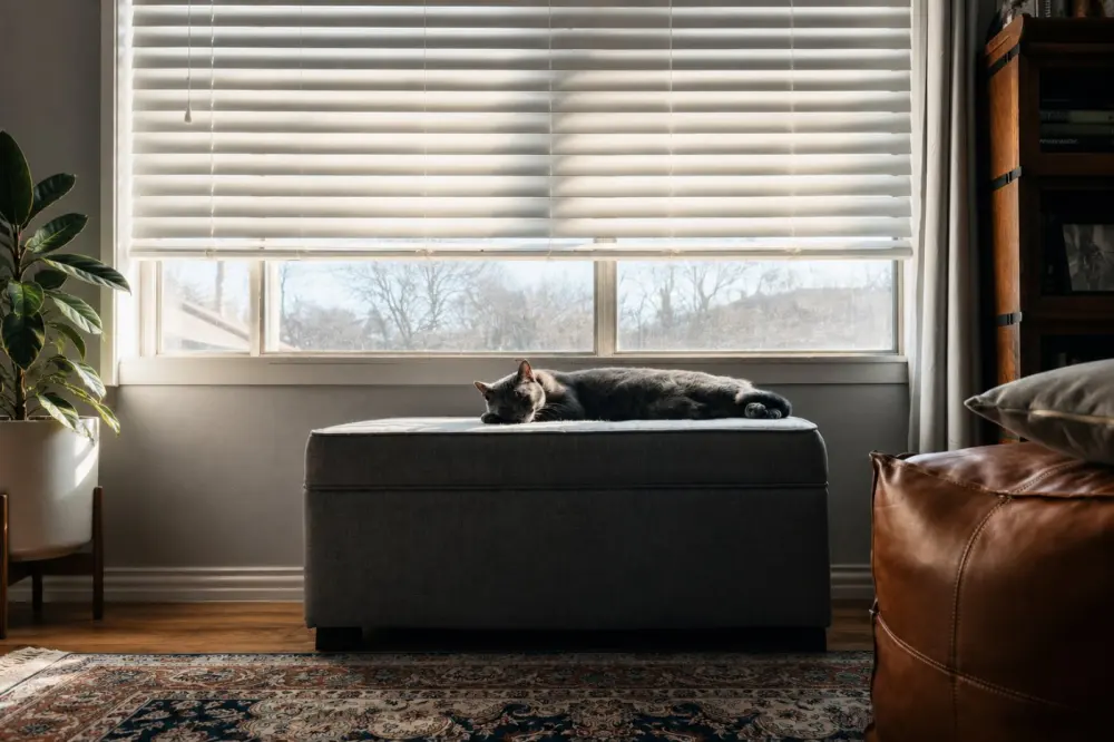 Roller Blind untuk Kantor dan Rumah: Kapan Lebih Cocok daripada Gorden Kain?