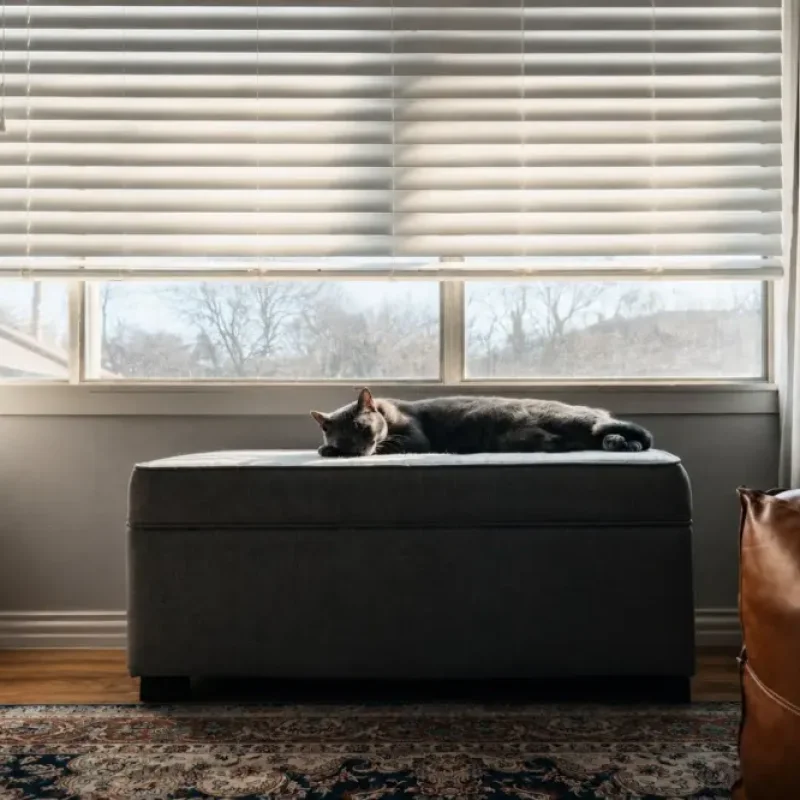 Roller Blind untuk Kantor dan Rumah: Kapan Lebih Cocok daripada Gorden Kain?